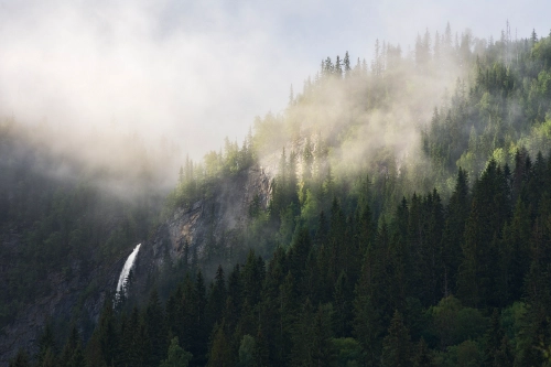 Norwegian waterfall after rain