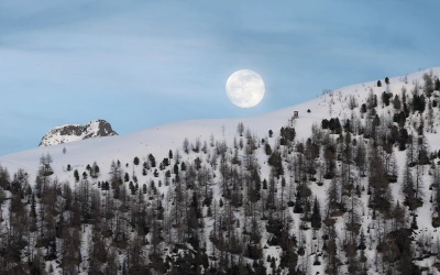 Snowy moonrise