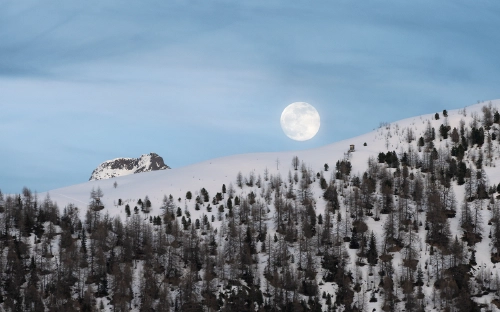 Snowy moonrise