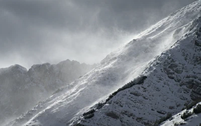 Early winter