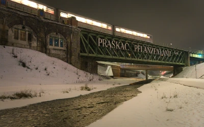 Viennese Winter