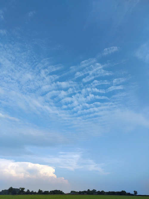 Altocumulus