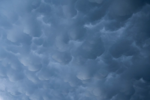 Mammatus